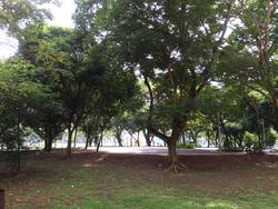 Blk 603 Yishun Street 61 (Yishun), HDB 4 Rooms #132342142